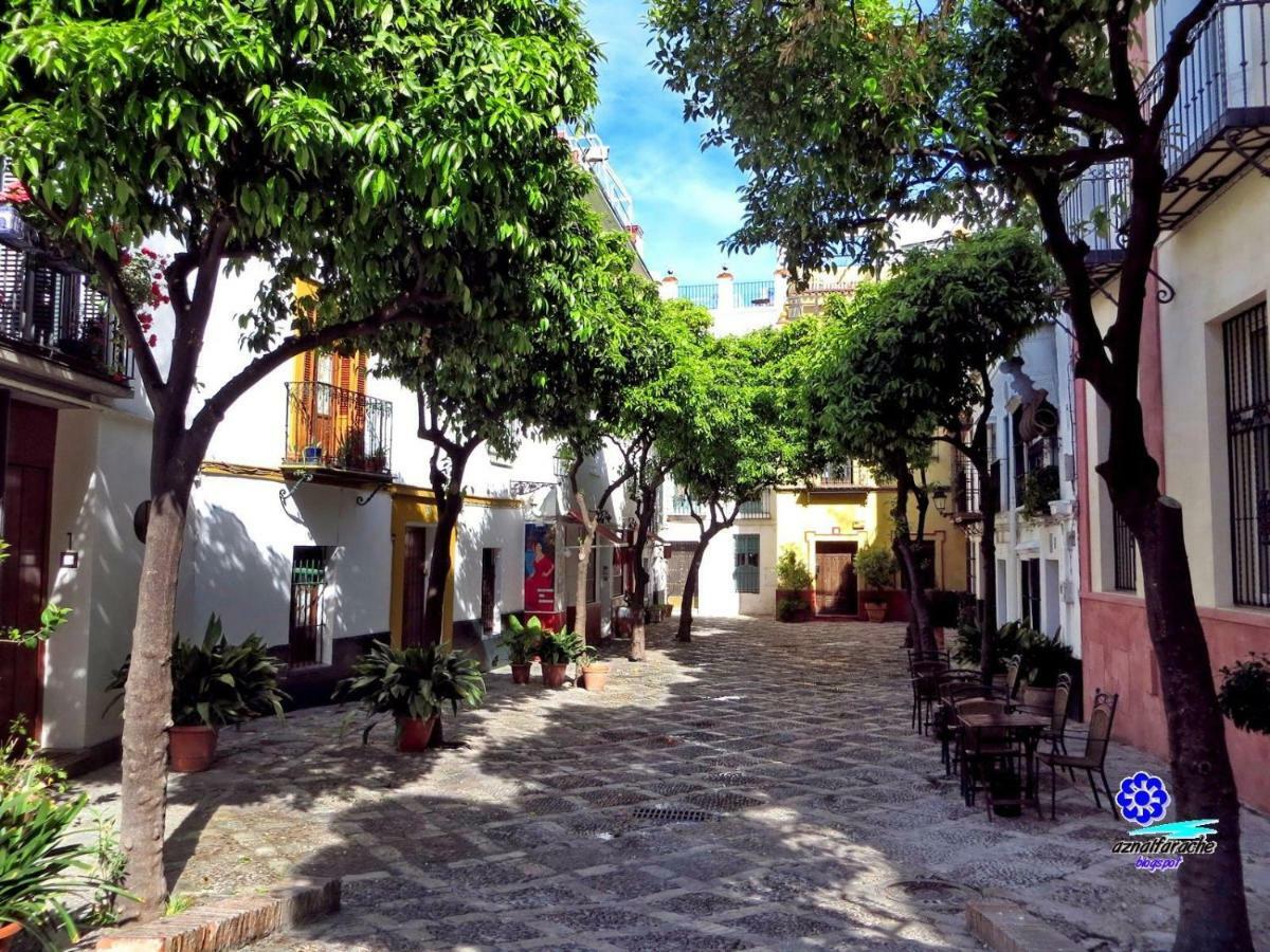 Apartment Wish Juderia De Seville
