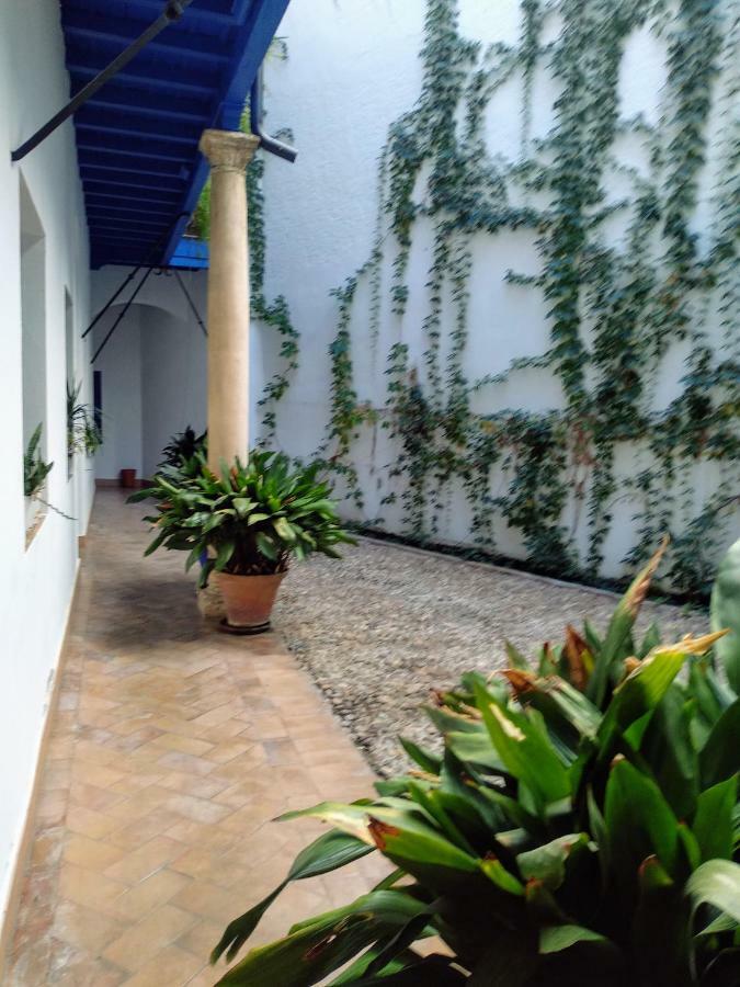 Apartament Wish Juderia De *