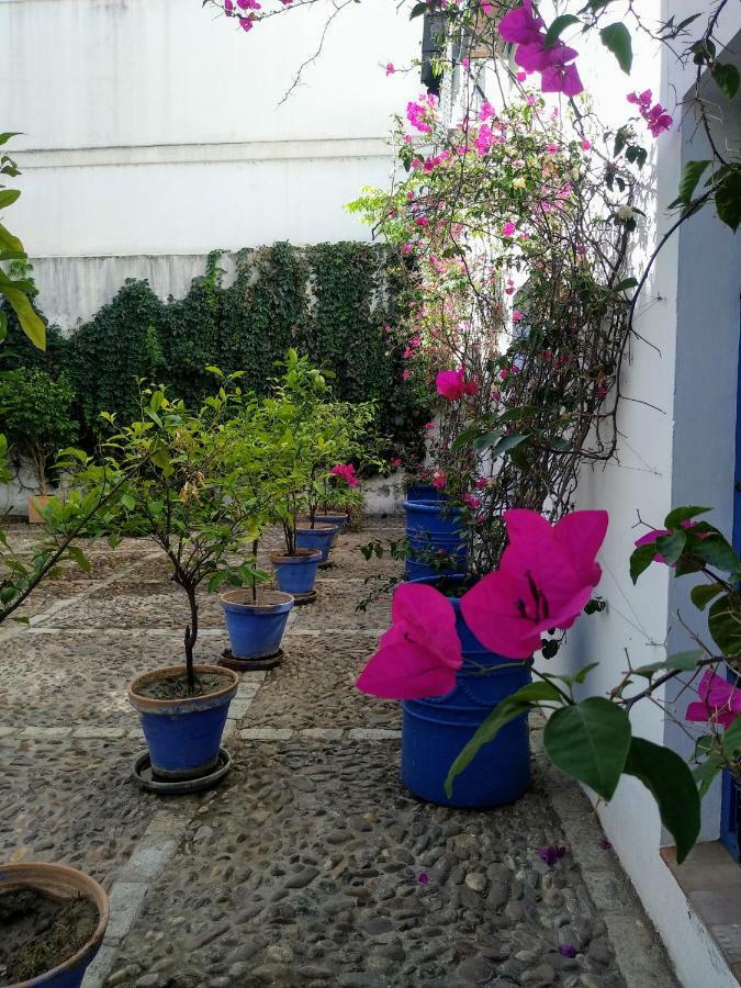 Wish Juderia De Apartment