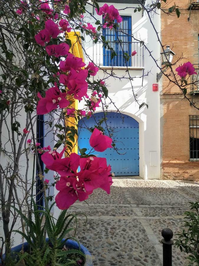 Apartment Wish Juderia De Seville
